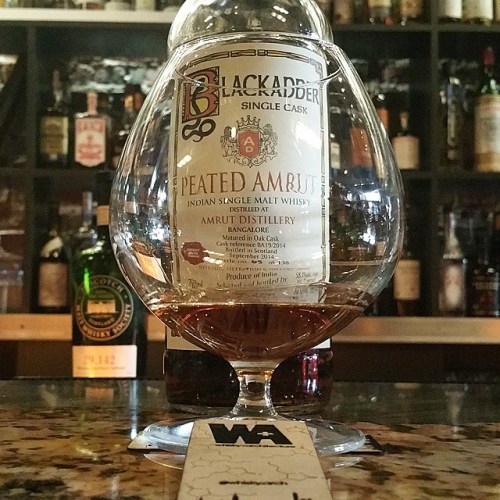 11055536_1375533856107066_137864007_n